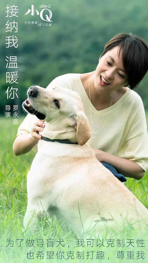 哪里能办理阿塞拜疆签证